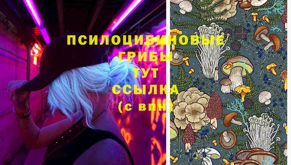 ГАЛЛЮЦИНОГЕННЫЕ ГРИБЫ Алексин