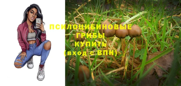 ГАЛЛЮЦИНОГЕННЫЕ ГРИБЫ Алексин